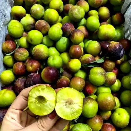 Hình ảnh Mận Róc Hạt