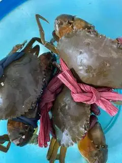 Hình ảnh Cháo cua - ghẹ