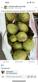Hình ảnh Dừa Quả 