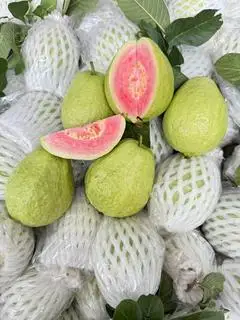 Hình ảnh Ổi Tươi Bổ sẵn