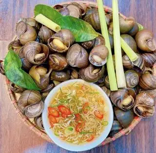 Hình ảnh Ốc to luộc 