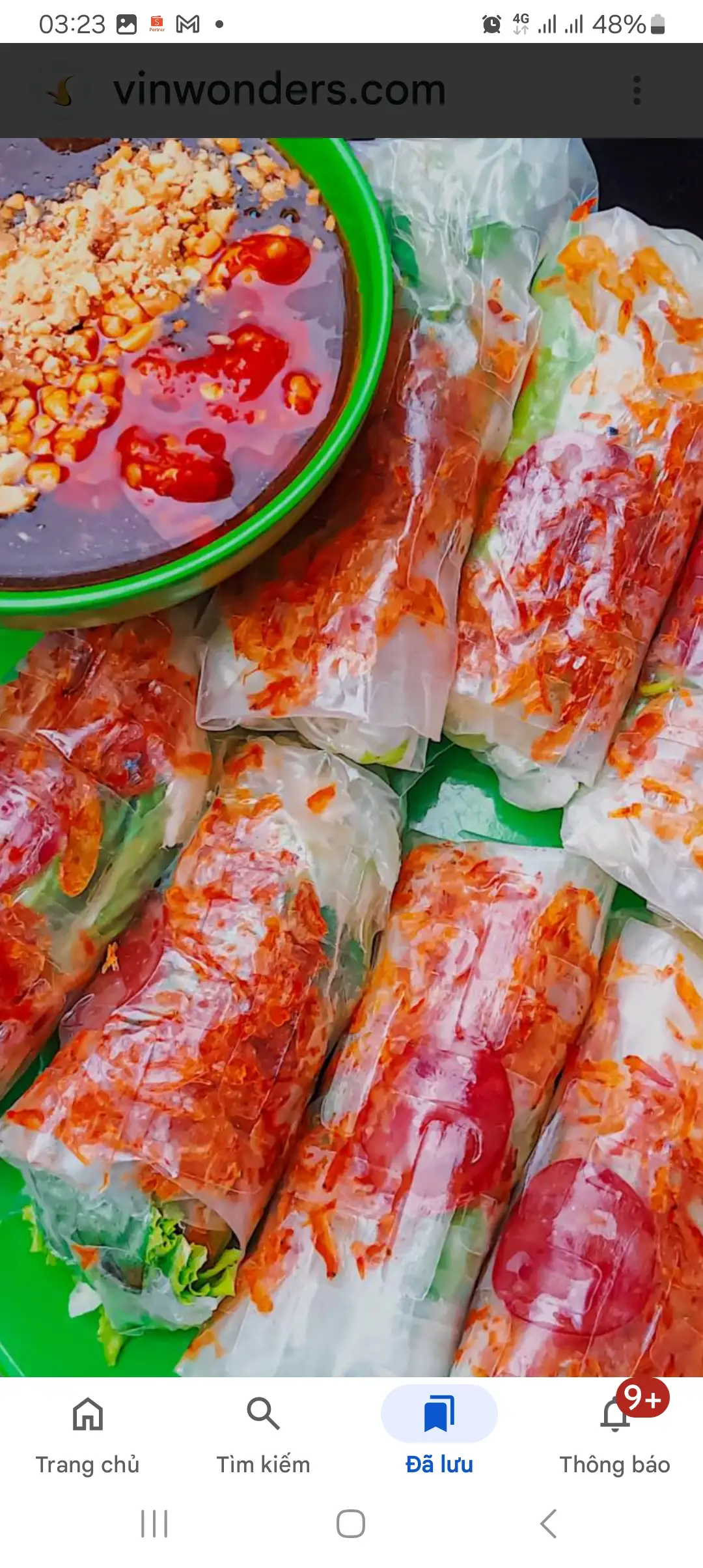 5 cuốn BÒ BÍA   - 37.000 ₫ tại Gỏi Cuốn Bạch - Nguyễn Đình Chiểu