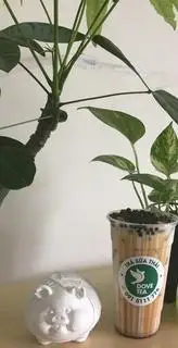 Hình ảnh Sữa tươi trân châu đường đen 