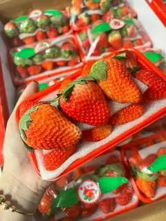 Hình ảnh Dâu Tây Hàn