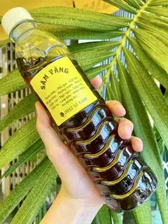 Hình ảnh 10 Chai TẶNG 1 Chai