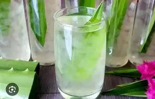 Nước Nha Đam Đường Phèn ( Ướp Lạnh ) - 18.000 ₫ tại Gà Tiềm Thuốc Bắc - Thuận Kiều