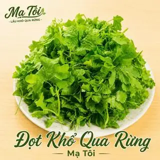 Hình ảnh Đọt khổ qua rừng