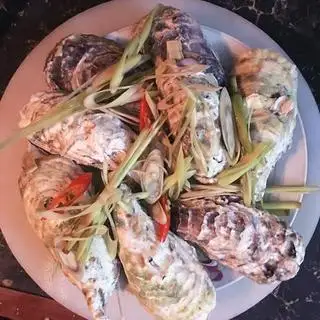 Hình ảnh 10 con HÀU HẤP