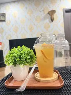 Hình ảnh Trà kombucha bòng bưởi