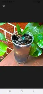 Hình ảnh sâm bí đao sương sáo hạt é size nhỏ 700ml