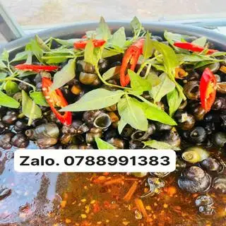 Hình ảnh Ốc đắng gạo xào xả ớt