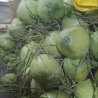 Hình ảnh Dừa dứa