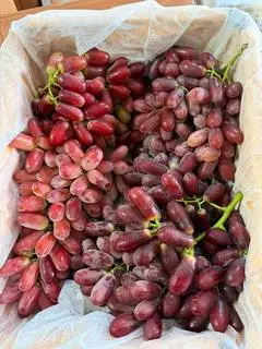Hình ảnh 500g * Nho Đỏ Rubi Úc Giòn Ngọt 