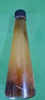 Hình ảnh Sâm thảo mộc