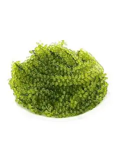 Hình ảnh Rong nho tươi - kèm nước sốt mè rang