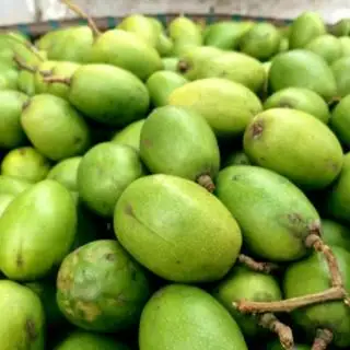 Hình ảnh Cóc non - Cóc bao tử 500g ăn kèm mắm ruốc / muối Tây Ninh