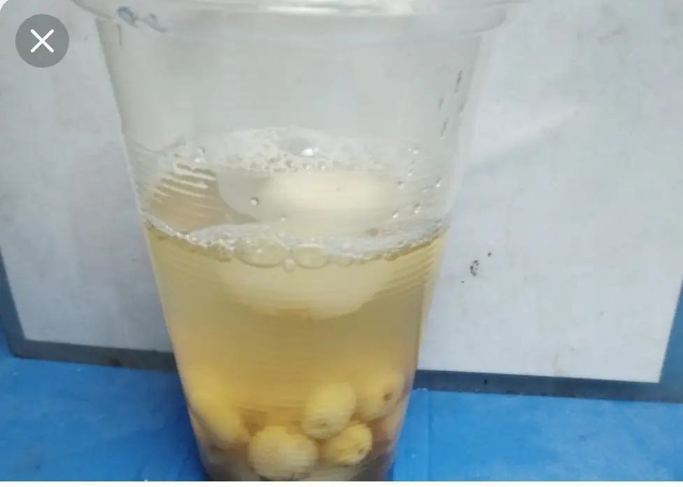 Chè Hạt Sen, Củ Năng, Củ Sen - 33.000 ₫ tại Chè Thủy - Trần Khắc Trân