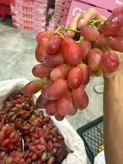 Hình ảnh nho ru bi 