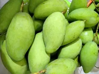 Hình ảnh 1kg xoài bao tử tặng đồ chấm