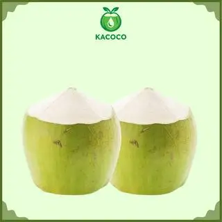 Hình ảnh Dừa xiêm Bến Tre loại 1