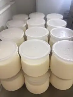 Hình ảnh Sữa chua phô mai