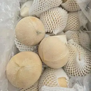 Hình ảnh Combo 2 quả dừa trọc 