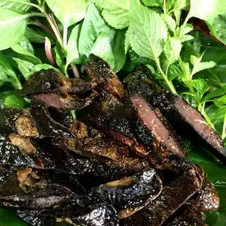 Hình ảnh Lá lách