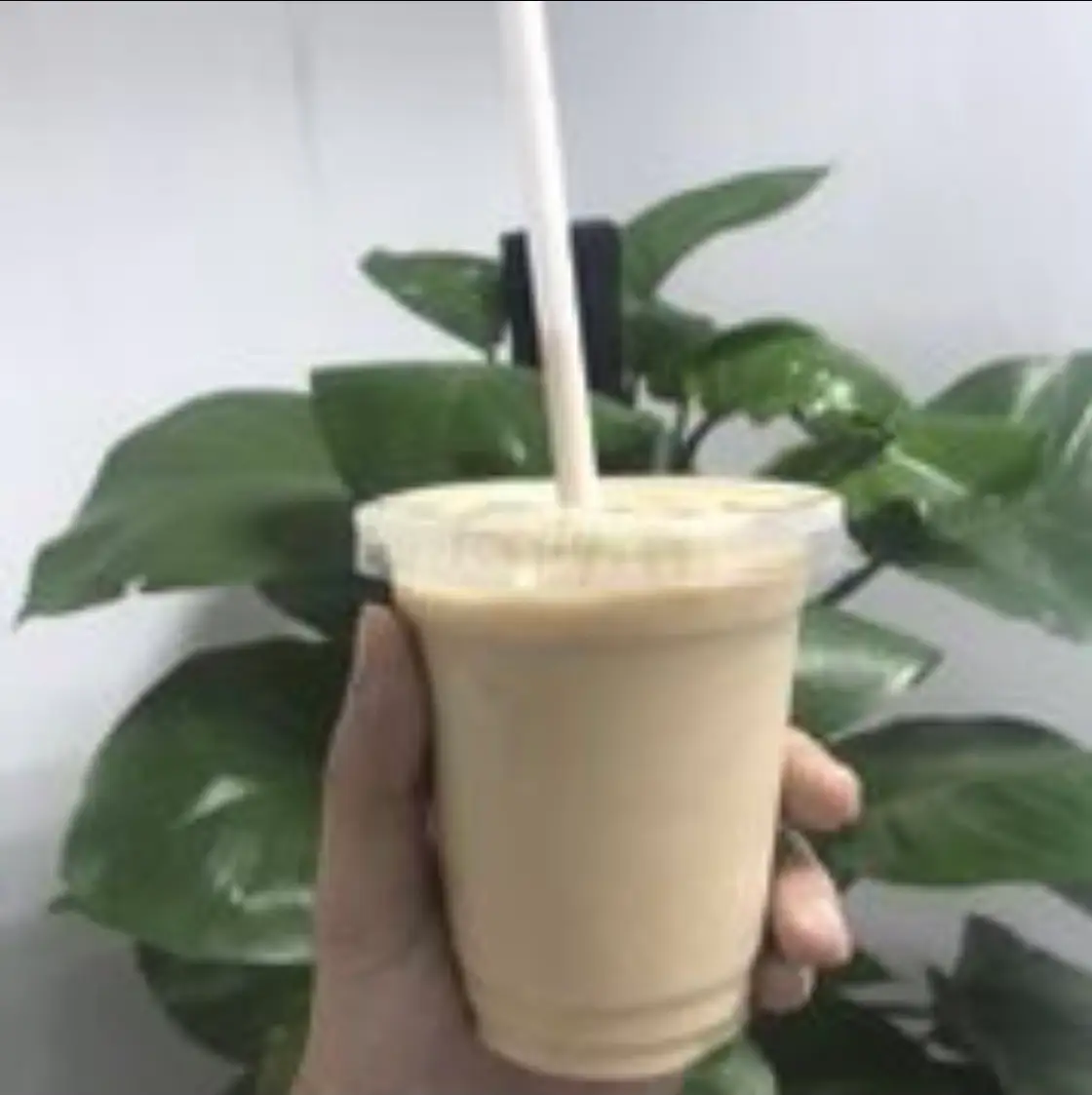 Sapoche - 27.000 ₫ tại Sinh Tố Cô Quỳnh - Nhật Tảo 