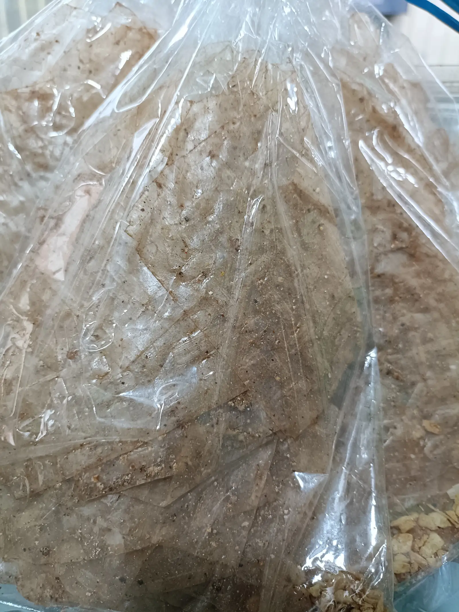 bánh Trángxikekhô siêu cay - 17.000 ₫ tại Bánh Tráng Trộn & Ăn Vặt Cô Ba - Trần Xuân Soạn