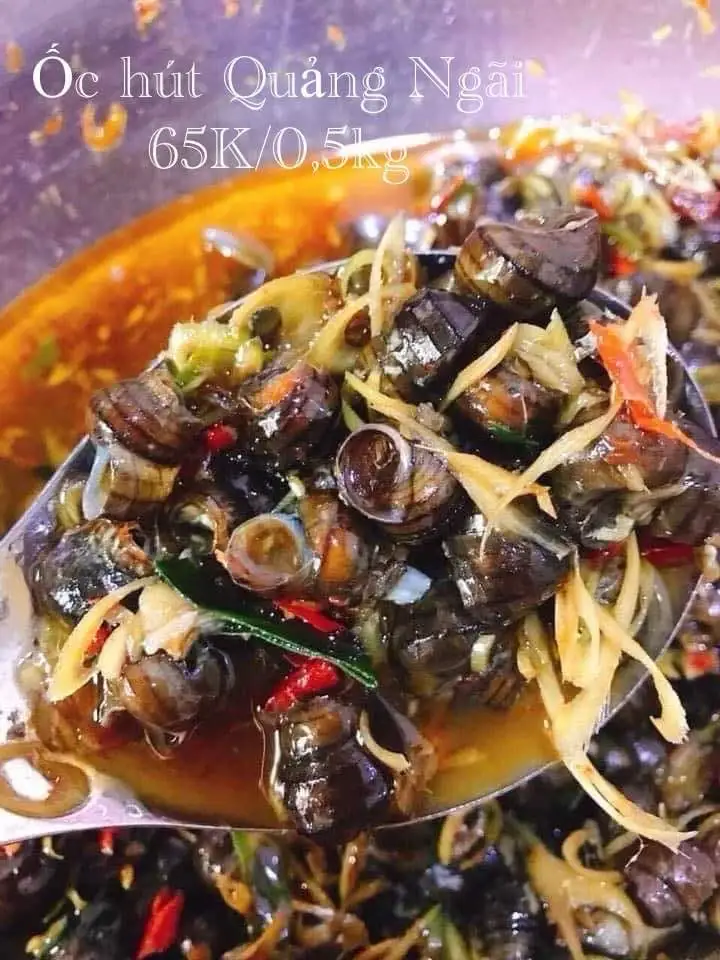 Hình ảnh Ốc Hút