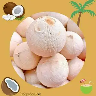 Hình ảnh Dừa Xiêm