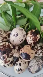 Bánh tráng trộn - 30.000 ₫ tại Gỏi Cuốn & Bánh Tráng Trộn - Xô Viết Nghệ Tĩnh