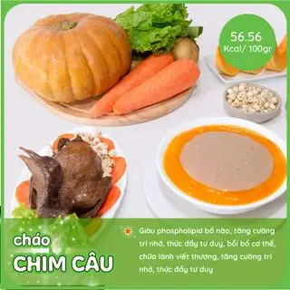 Hình ảnh Chim Bồ Câu