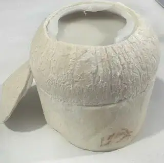 Hình ảnh Rau câu dừa trái vừa-GỌT vỏ