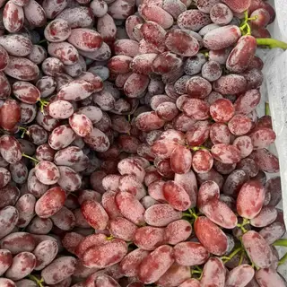 Hình ảnh Nho Ruby tròn (ngọt,ko hạt)
