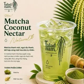 Matcha Coconut Nectar 500ml - 69.000 ₫ tại Talad Nam - Coconut Nectar & Cafe - Trần Quang Khải
