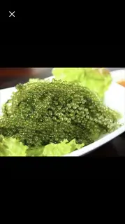 rong nho tươi - Umi Budo + sốt mè - 45.000 ₫ tại  Sushi Tokyo Sachi - Trần Quang Khải