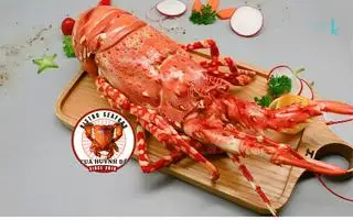 Hình ảnh 1 Tôm Hùm Xanh Baby Size S (300~350gr)