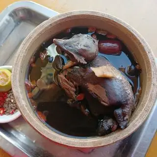 Hình ảnh Bồ câu tiềm thuốc bắc