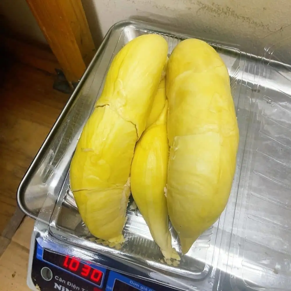 Hình ảnh Cơm Sầu Ri 500 Gram
