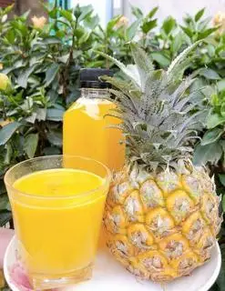 Hình ảnh nước ép dứa 100% nguyên chất k đường k đá 350ml