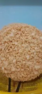 Bánh chiên giòn rụm - 40.000 ₫ tại Quán Bánh Cuốn Nóng - Xô Viết Nghệ Tĩnh