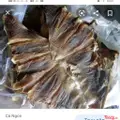 Hình ảnh Khô cá (đuối) nướng - 1 Con