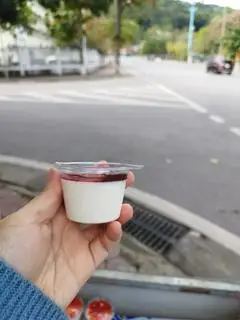 Hình ảnh Panna cotta việt quất