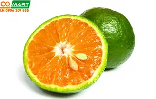 Cam - 25.000 ₫ tại Sinh Tố Bảo Yến - Quốc Hương