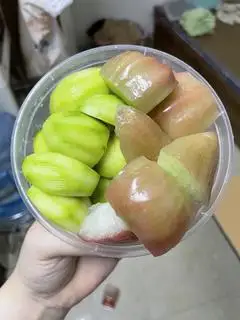Hình ảnh cóc bao tử mix doi đỏ