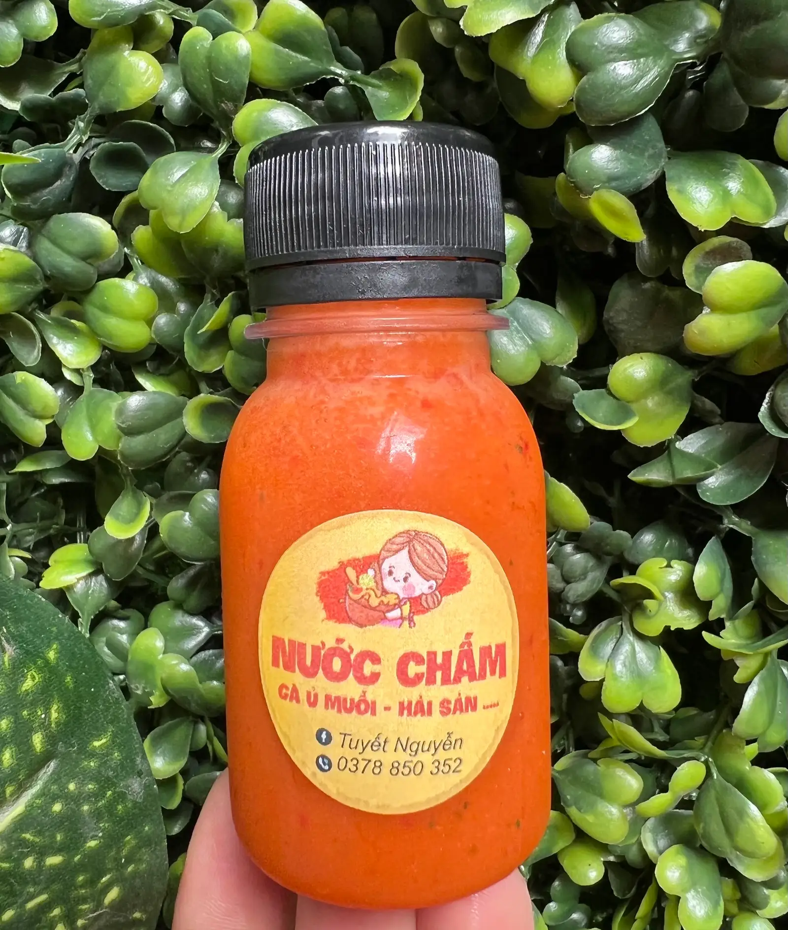 Hình ảnh 1 chai nước chấm mini - 50ml