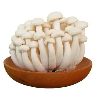 Hình ảnh Nấm Linh Chi -50g
