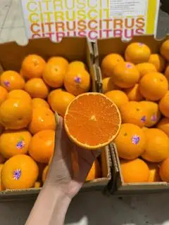 Hình ảnh Quýt úc chuẩn