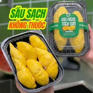 [Mới khui] Sầu riêng Ri6 - 250g - 135.000 ₫ tại Sầu Riêng Tu Farm - Kem Sầu Riêng - Cách Mạng Tháng 8